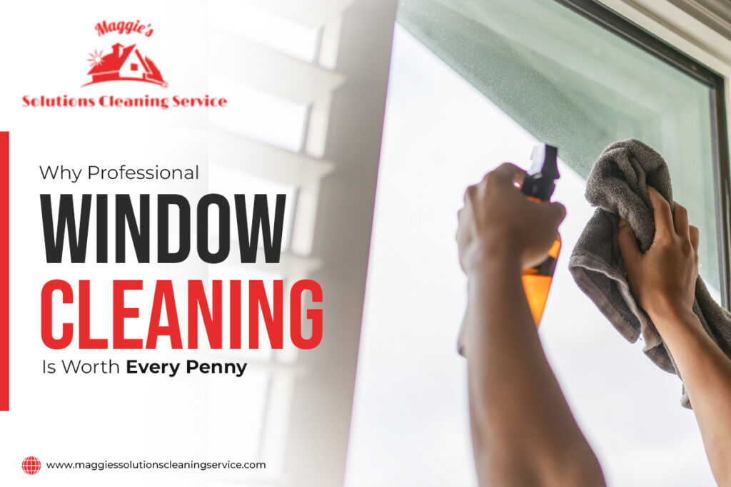 Why Professional Window Cleaning Is Worth Every Penny