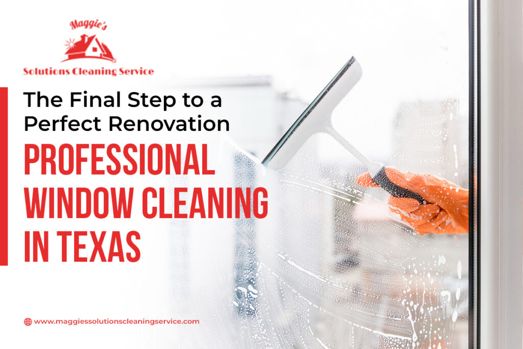 Window Cleaning Services